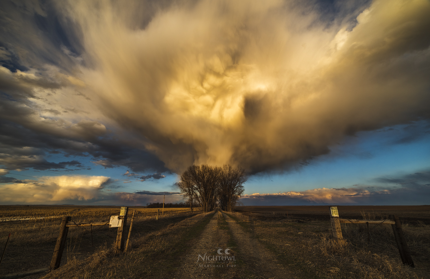 Storm light beyond the farm gate