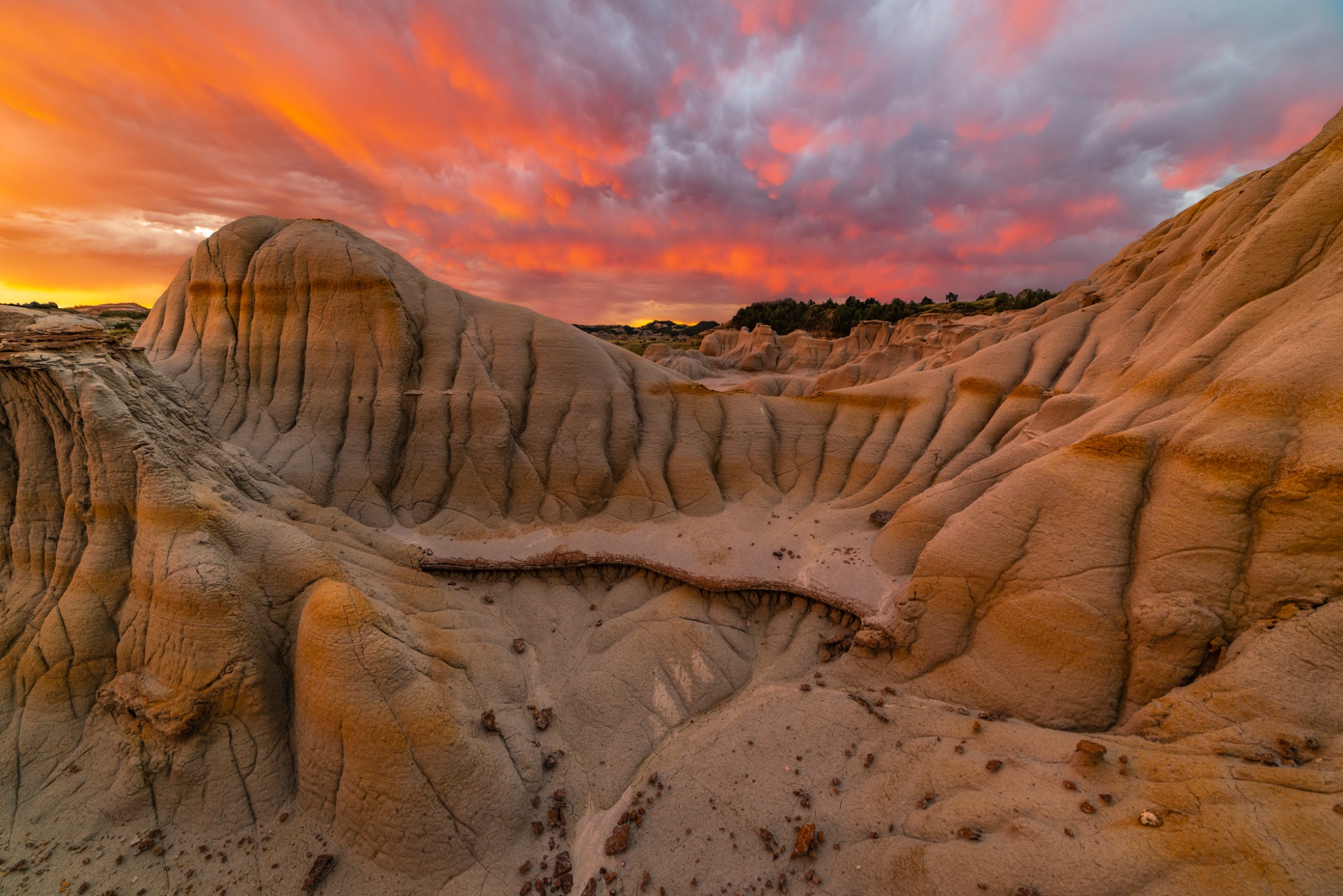 Sculpted badlands at sunset