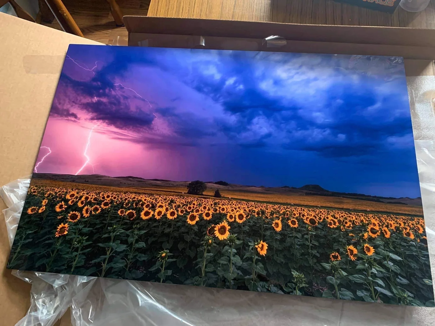 Aluminum fine art print displayed in a space